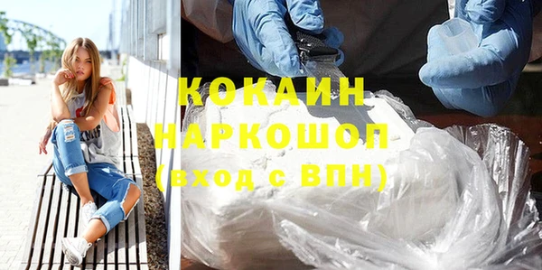 мдпв Новозыбков