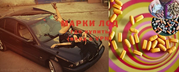 дурь Новодвинск