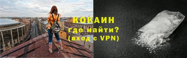 мдпв Новозыбков