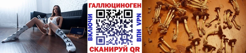 продажа наркотиков  Межгорье  Псилоцибиновые грибы Magic Shrooms 